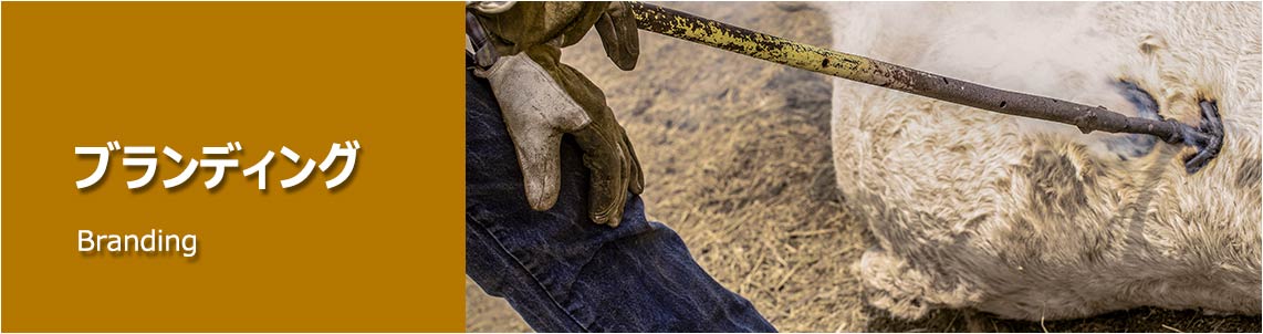 ブランディングの風景